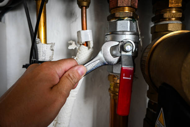 Best Residential Plumbing Services  in Garden City, MI